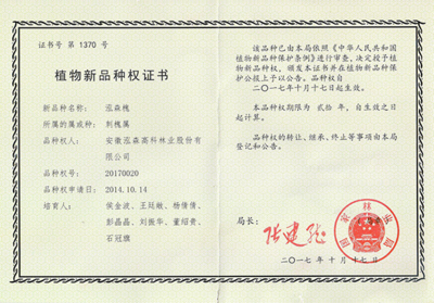 紅楓,美國紅楓,日本紅楓-優秀造林綠化樹種推薦--泓森槐-美國紅楓十月光輝|夕陽紅|紅冠|秋火焰|日本紅楓獅子頭、三河八房、紅三河批發【華石紅楓 tel:4006168511】-www.shmmw.com