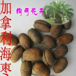 花卉種子 種苗產(chǎn)品列表 007商務(wù)站 全球網(wǎng)上貿(mào)易平臺 第89頁